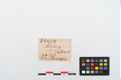 Etikett zu Bronzedolch (NHMW-PRAE-024459)